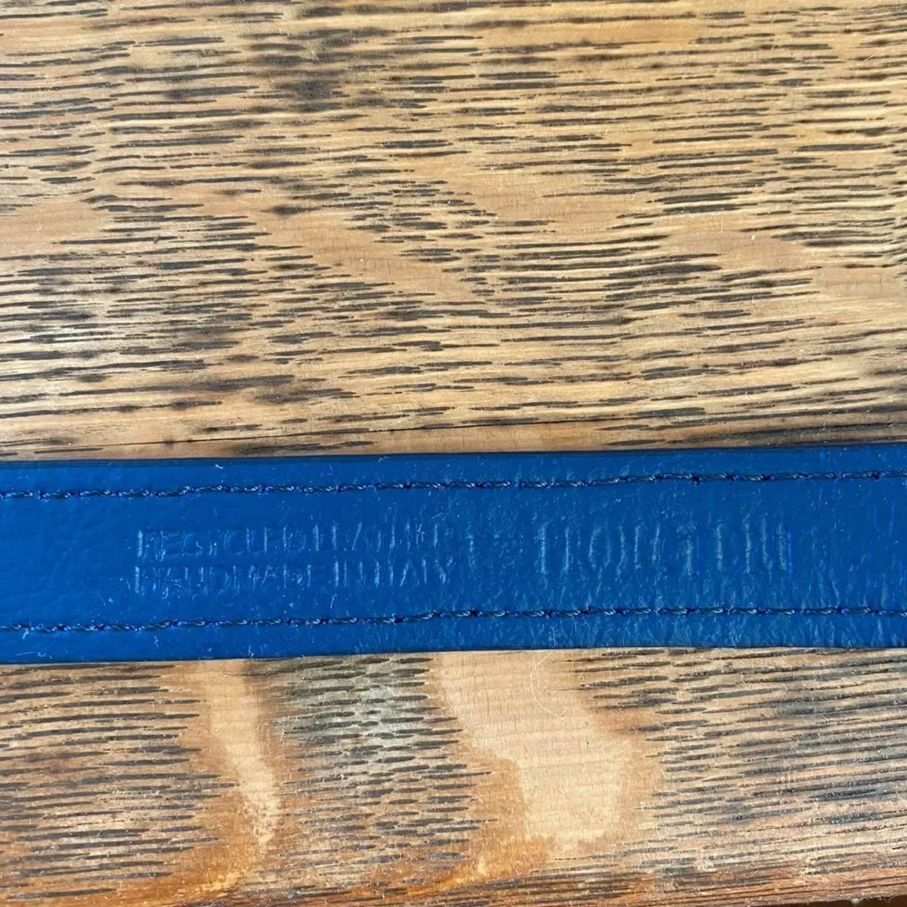 Project Blue Eco Friendly Dog Collar in Blue. Size XS. NWT